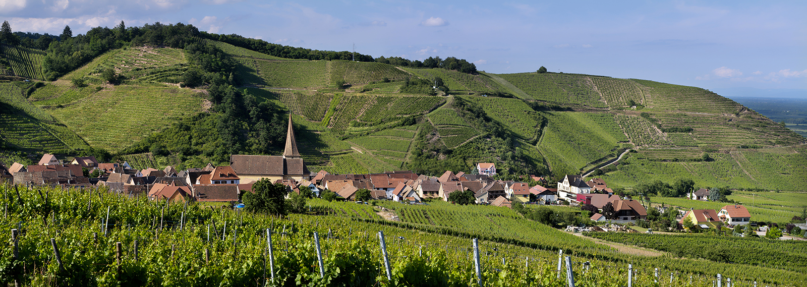 Grand Cru Sommerberg